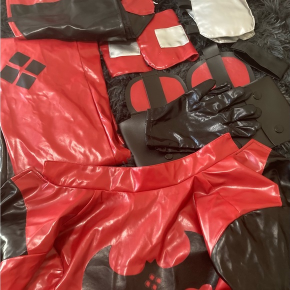 Harley Quinn Costume! - Picture 3 of 3